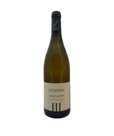 Domaine CASTAN "Sauvignon" blanc BIO 2022